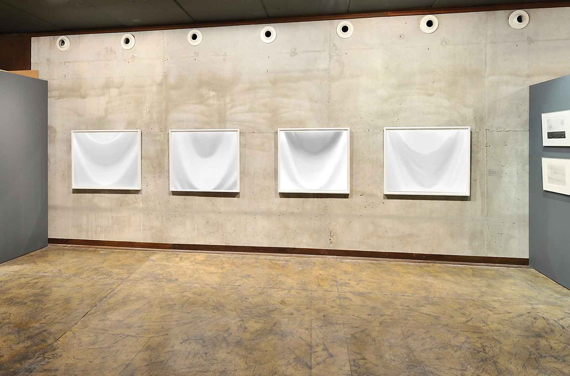 whiteness gallery installation