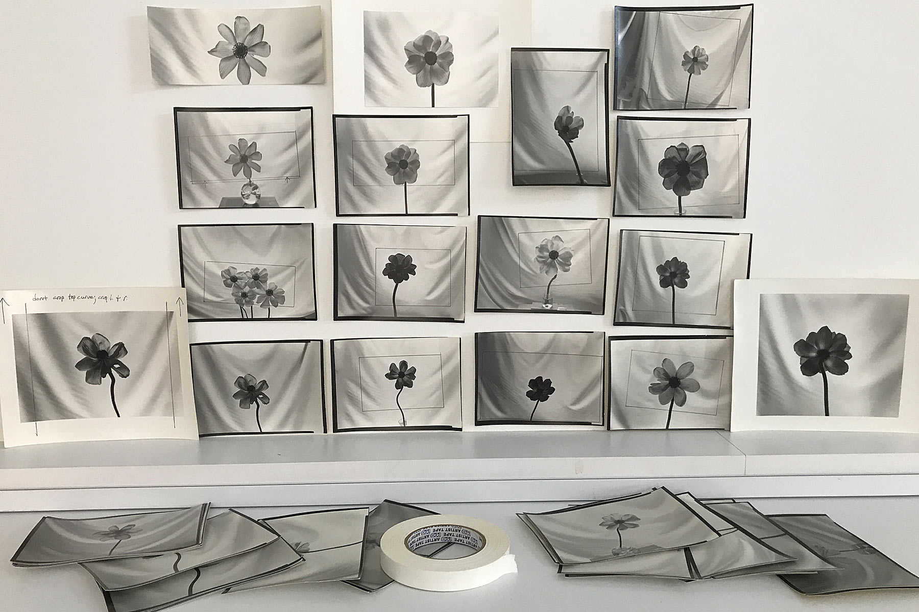 anemone work prints